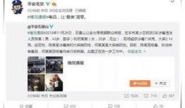 全娱乐圈跟我吃瓜的小说,瓜田里的明星盛宴